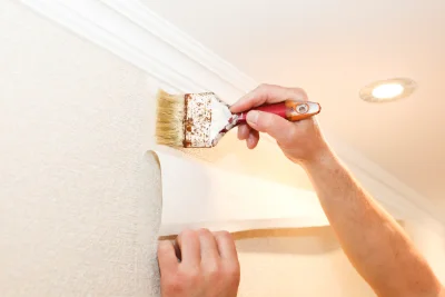 Pose de papier peint à Magny-Châtelard — revêtements muraux et toiles de verre